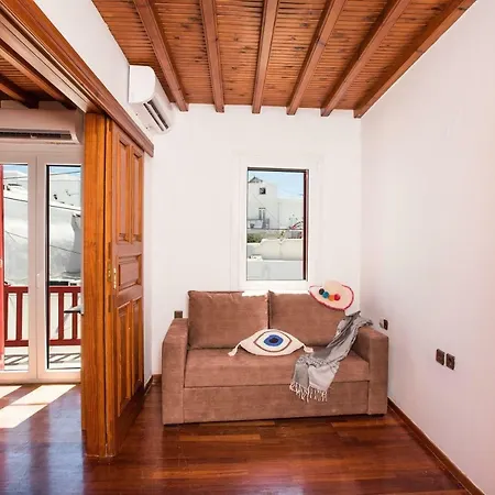 Luxury Traditional Three-bedroom House Pensión